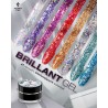 Brillant Gel  5gr Victoria Vynn