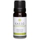 Óleo Essencial 30ml - Tassel