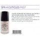 Linha SPA Tratamentos de Unhas 10ml - Purple Professional