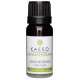 Óleo Essencial 30ml - Tassel