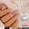Spider Gel Nail Art 4gr - Andreia Professional